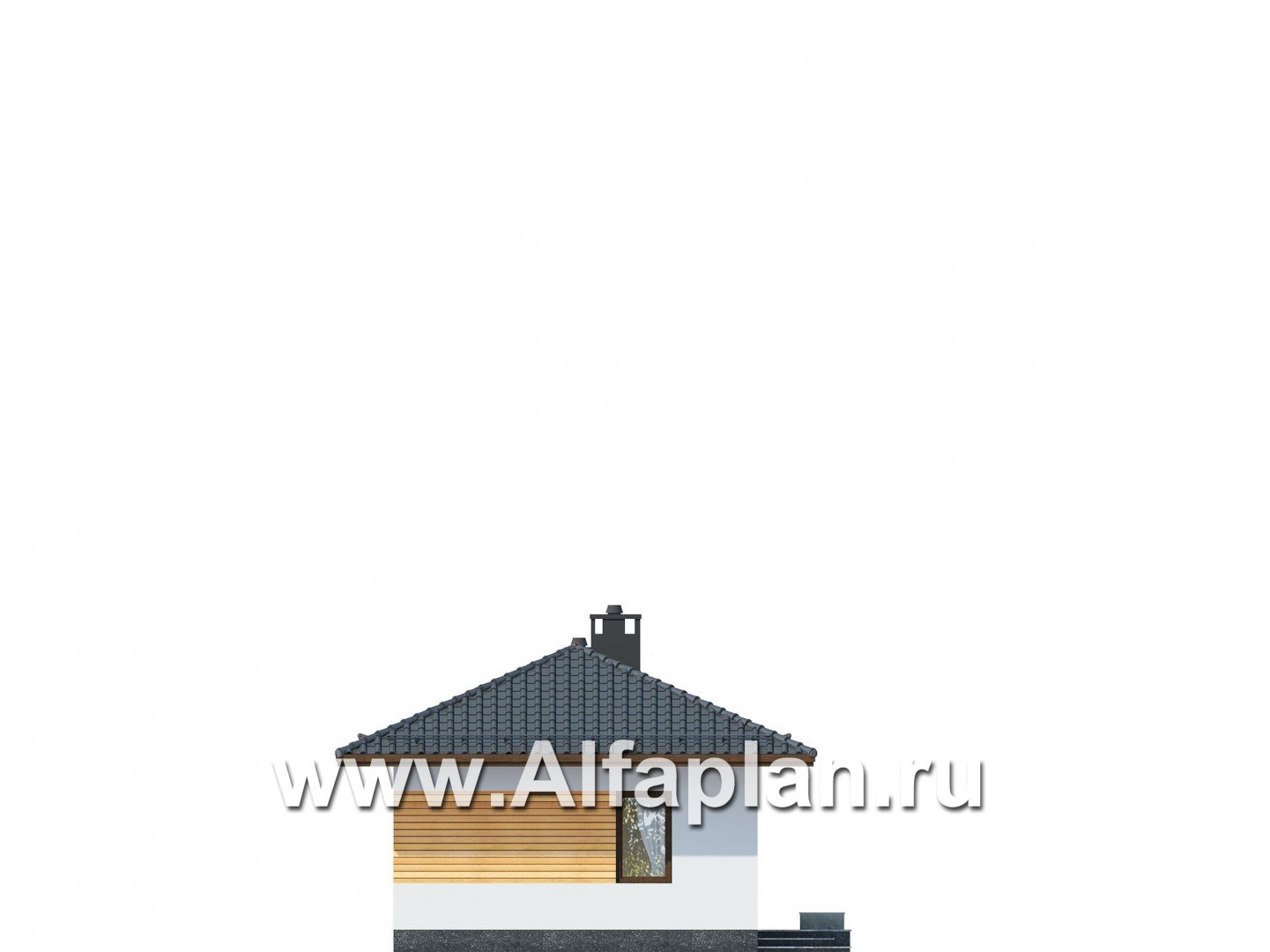 Проекты домов Альфаплан - Одноэтажный загородный дом - изображение фасада №4