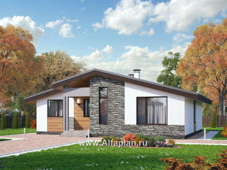 Проекты домов Альфаплан - «Калисто» - проект одноэтажного дома,  в скандинавском стиле, с террасой и с островным камином - превью дополнительного изображения №1